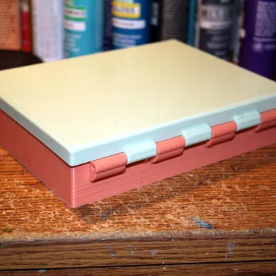 Hộp Organizer Đựng Đầu Bắt Kem Trang Trí Bánh (Piping Tip Organizer Case)