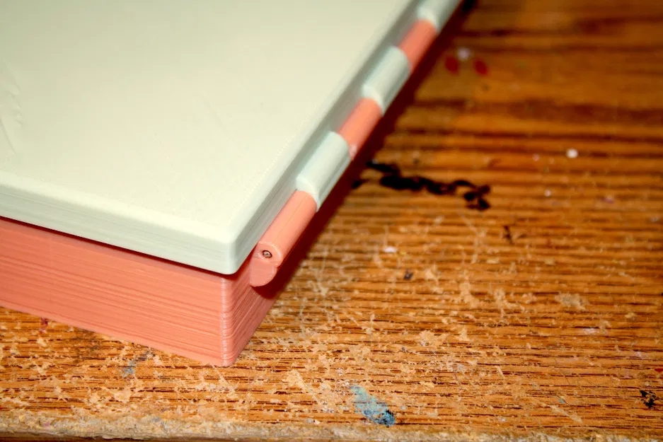 Hộp Organizer Đựng Đầu Bắt Kem Trang Trí Bánh (Piping Tip Organizer Case) - Image 5