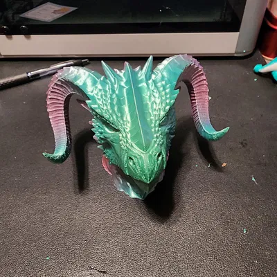 Dragon Solid print