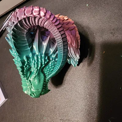 Dragon Solid print
