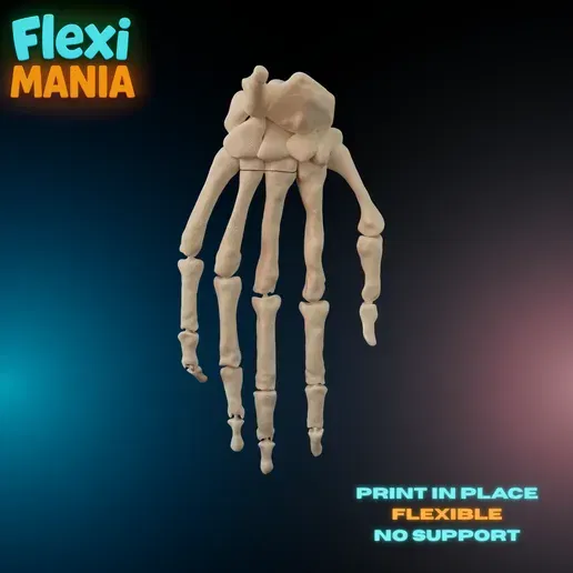 Bộ Xương Bàn Tay Người Flexi | Bàn Tay Xương Khớp Nối In 3D - Image 1