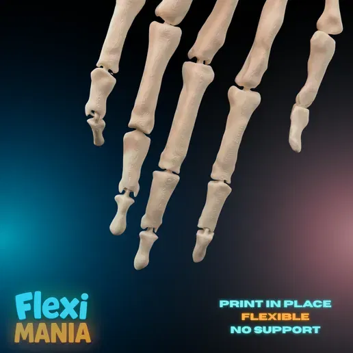 Bộ Xương Bàn Tay Người Flexi | Bàn Tay Xương Khớp Nối In 3D - Image 2