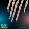 Bộ Xương Bàn Tay Người Flexi | Bàn Tay Xương Khớp Nối In 3D - Thumbnail 2