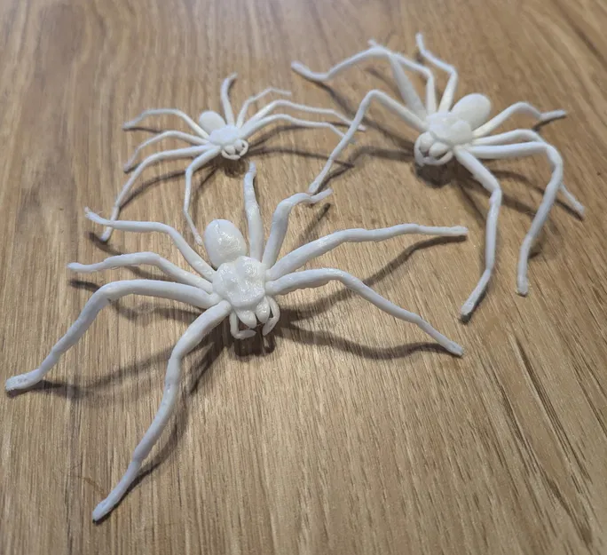 Nhện Huntsman (Huntsman Spider) kích thước thật – dễ in, hù dọa cực đã - Image 3