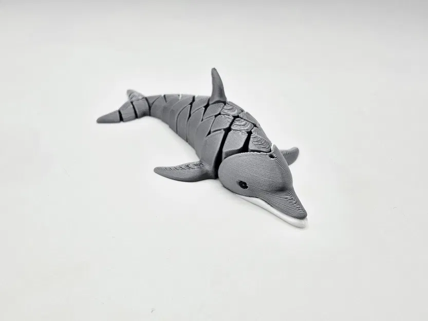 Cute Flexi Dolphin – Cá heo flexi dễ thương - Image 1