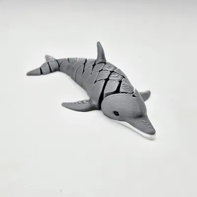 Cute Flexi Dolphin – Cá heo flexi dễ thương