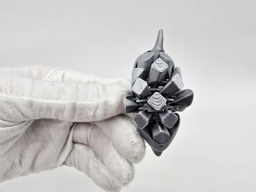 Cute Flexi Dolphin – Cá heo flexi dễ thương - Image 4