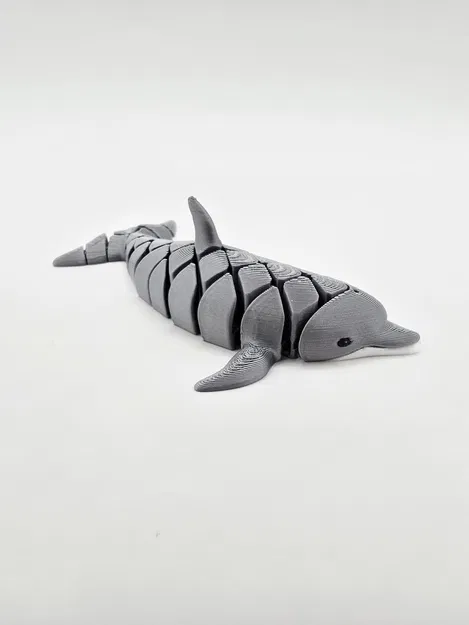 Cute Flexi Dolphin – Cá heo flexi dễ thương - Image 5