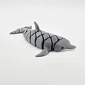 Cute Flexi Dolphin – Cá heo flexi dễ thương - Thumbnail 5