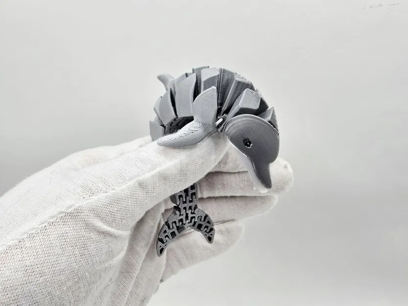 Cute Flexi Dolphin – Cá heo flexi dễ thương - Image 6