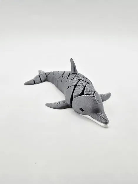 Cute Flexi Dolphin – Cá heo flexi dễ thương - Image 7