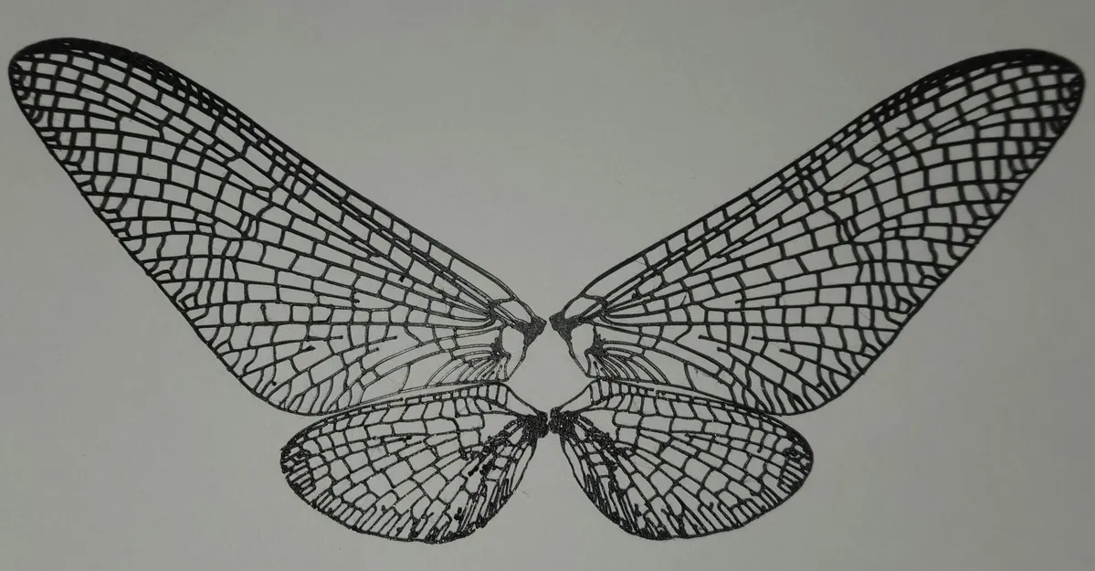 Cánh phù du (mayfly) chân thực - Image 1