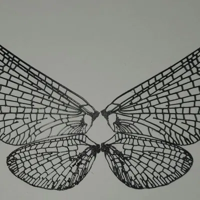 Cánh phù du (mayfly) chân thực