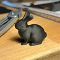 Simple Bunny (Thỏ đơn giản) - Thumbnail 1