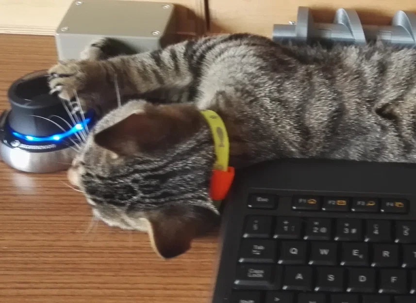 Mặt treo vòng cổ mèo cho RFID Microchip (tối đa 2×17mm) - Image 1