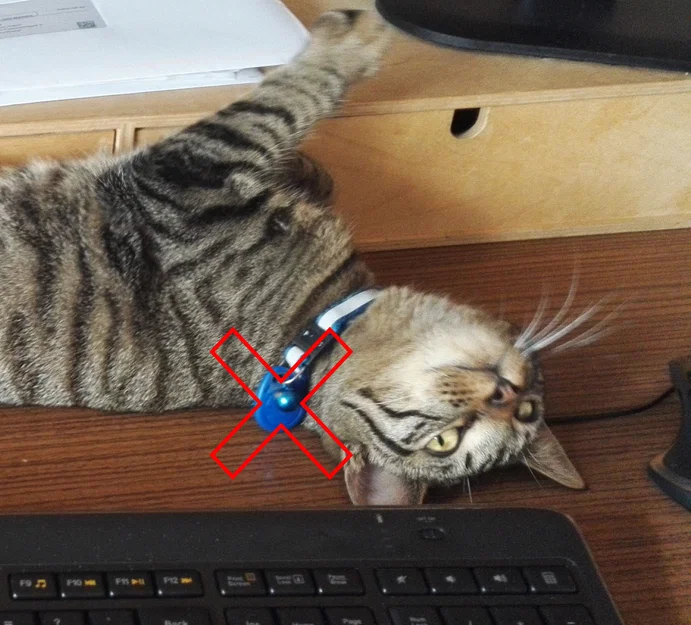 Mặt treo vòng cổ mèo cho RFID Microchip (tối đa 2×17mm) - Image 2