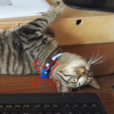 Mặt treo vòng cổ mèo cho RFID Microchip (tối đa 2×17mm)