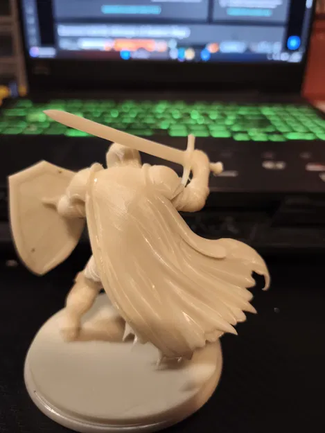 Hiệp sĩ Paladin 1 - Image 3