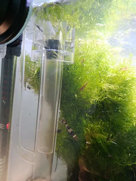 Ốp bảo vệ kính filter cho hồ cá (Aquarium glass filter protector) - Image 2