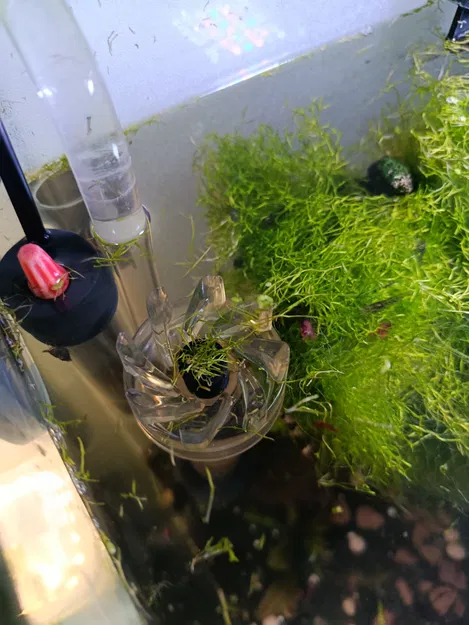 Ốp bảo vệ kính filter cho hồ cá (Aquarium glass filter protector) - Image 3