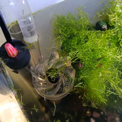 Ốp bảo vệ kính filter cho hồ cá (Aquarium glass filter protector)