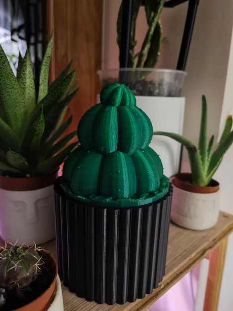 Heo đất Xương rồng trong chậu (Piggy bank Cactus in a Pot) - Image 1