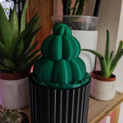 Heo đất Xương rồng trong chậu (Piggy bank Cactus in a Pot)