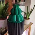 Heo đất Xương rồng trong chậu (Piggy bank Cactus in a Pot) - Thumbnail 2