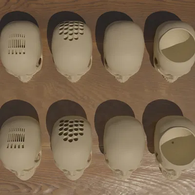 Skull Realistic 2: Chậu cây/Ống cắm bút/Lưu trữ media & hơn nữa