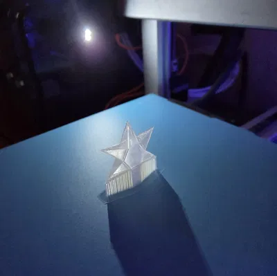 Đồ trang trí ngôi sao Giáng Sinh