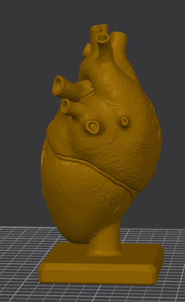 Bàn Làm Việc Trái Tim Giải Phẫu (Anatomical Heart Desk) - Image 3