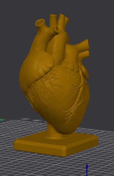 Bàn Làm Việc Trái Tim Giải Phẫu (Anatomical Heart Desk) - Image 4