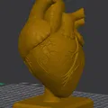 Bàn Làm Việc Trái Tim Giải Phẫu (Anatomical Heart Desk) - Thumbnail 4