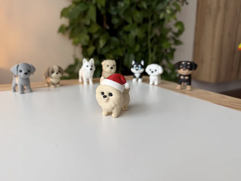 Chó Pomeranian đội mũ Giáng Sinh - Image 1