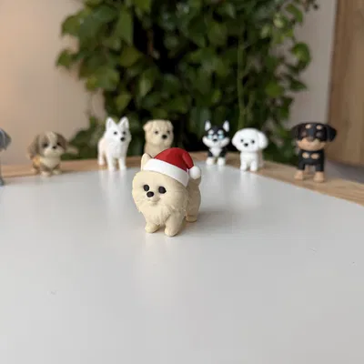 Chó Pomeranian đội mũ Giáng Sinh