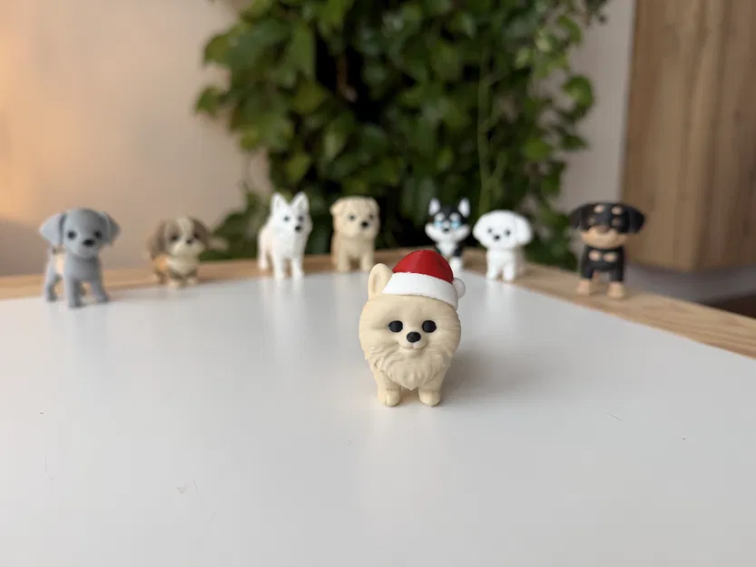 Chó Pomeranian đội mũ Giáng Sinh - Image 2