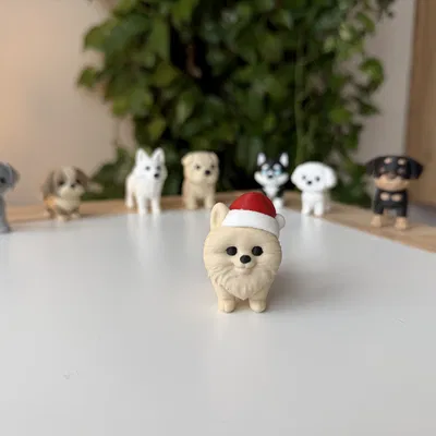 Chó Pomeranian đội mũ Giáng Sinh