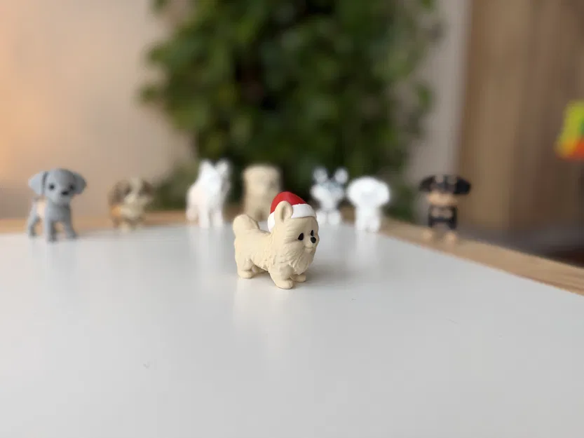 Chó Pomeranian đội mũ Giáng Sinh - Image 3