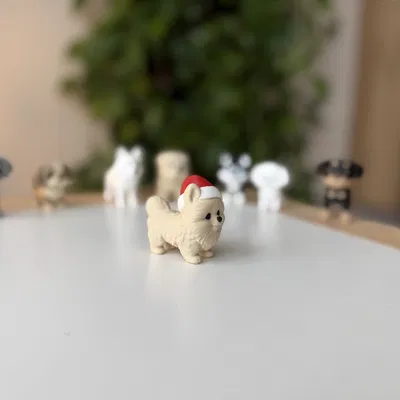 Chó Pomeranian đội mũ Giáng Sinh