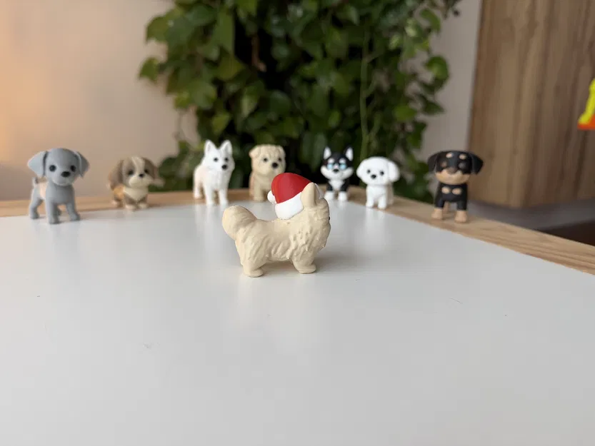 Chó Pomeranian đội mũ Giáng Sinh - Image 4