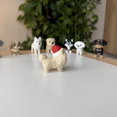 Chó Pomeranian đội mũ Giáng Sinh