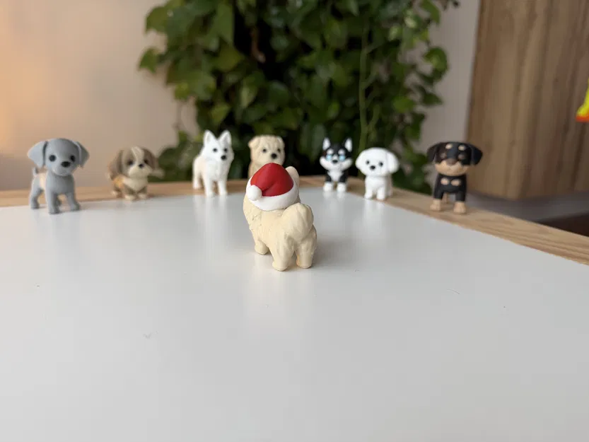 Chó Pomeranian đội mũ Giáng Sinh - Image 5