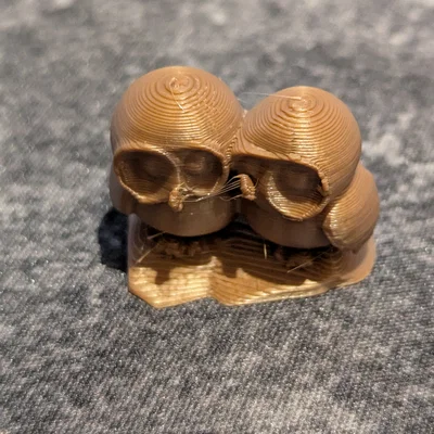 Cặp cú mèo dễ thương trên tảng đá