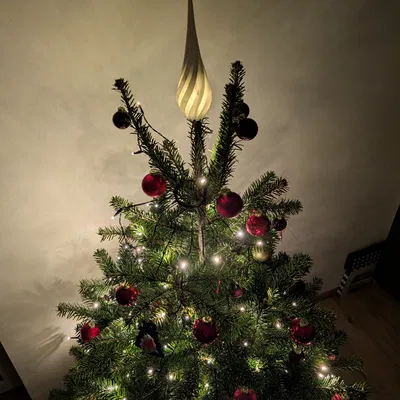 Chóp Cây Thông Noel Xoắn Ốc (Vase Mode)