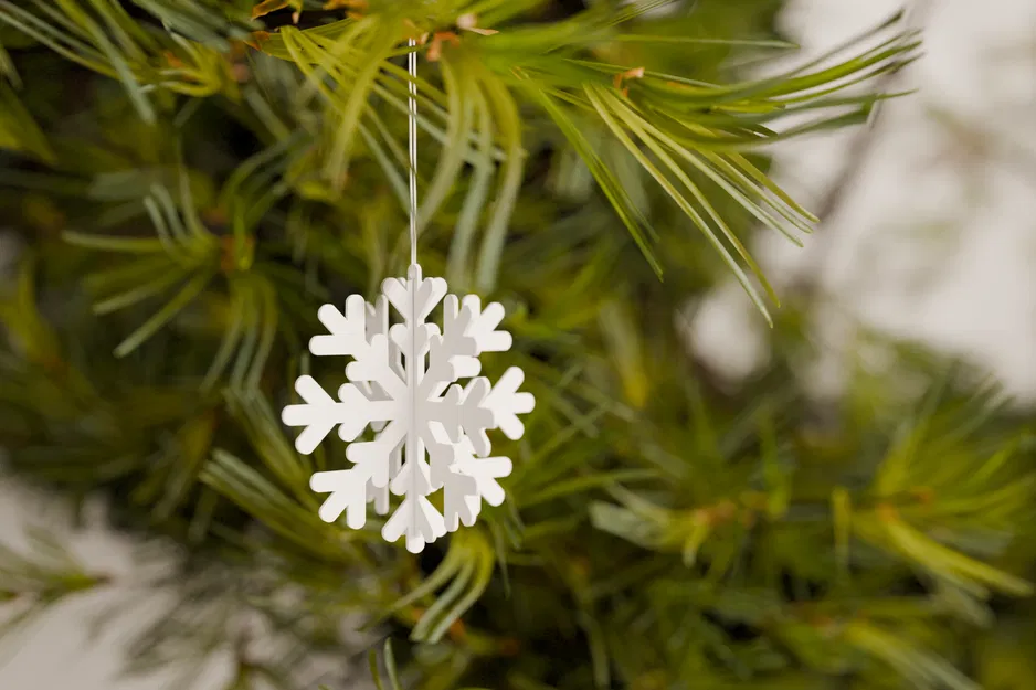 Lại thêm một bông tuyết nữa (Yet another snowflake) - Image 1
