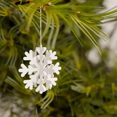 Lại thêm một bông tuyết nữa (Yet another snowflake)