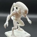 Xenomorfo (Alien) - Thumbnail 2