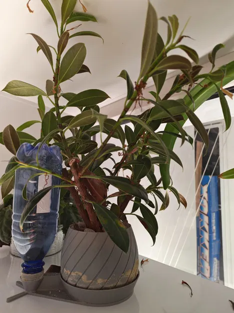 Chậu auto tưới tự động: thay chai nhanh (hydro/hydroponics) - Image 7