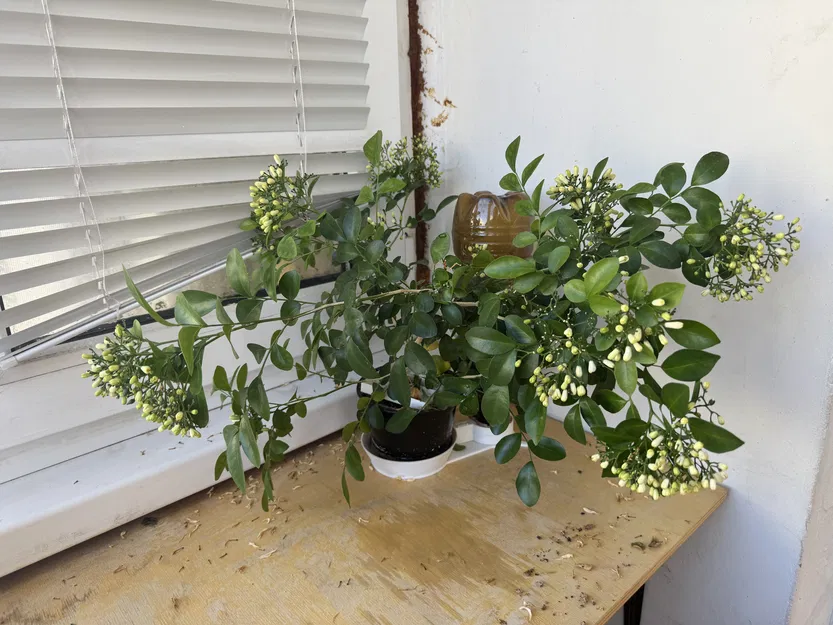 Chậu auto tưới tự động: thay chai nhanh (hydro/hydroponics) - Image 10