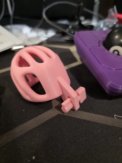 Chìa khóa cho vòng và lồng của Nob - Image 2